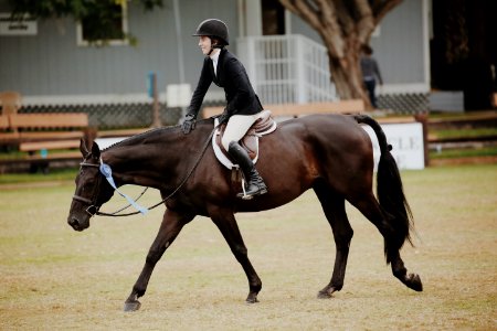 Woman Riding Horse