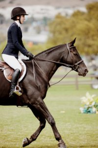 Woman Riding On Black Horse Focus Photography