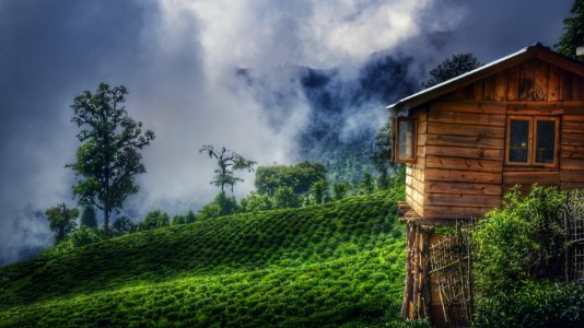 Brown Wooden House On Green Grass Field