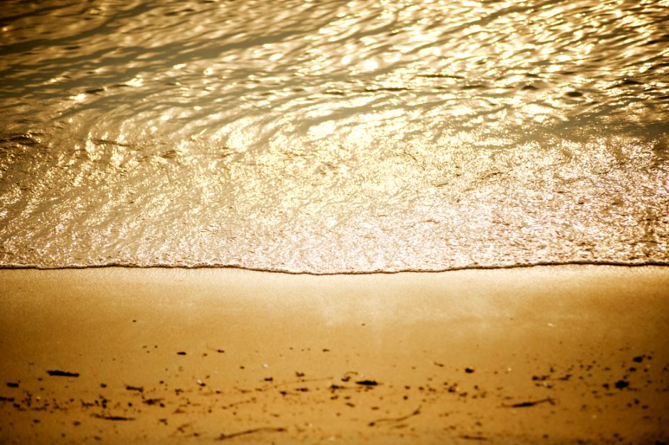 Photo Of Shoreline