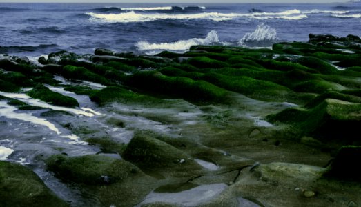 Photography Of Sea