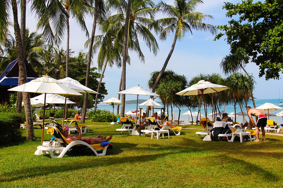 Resort seaside palm trees