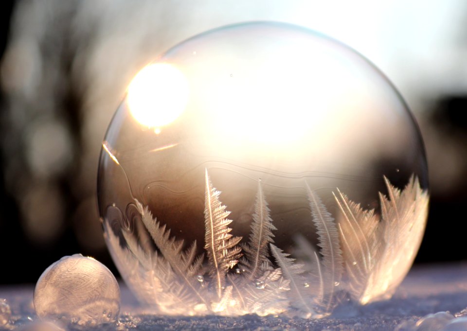 Close Up Freezing Water Macro Photography photo