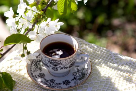 Coffee Cup Flower Tableware Tea photo