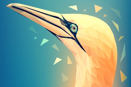 Beak Wing Art Joint