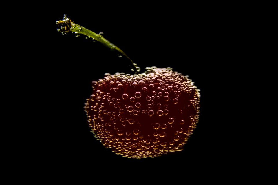 Still Life Photography Organism Macro Photography Fruit photo