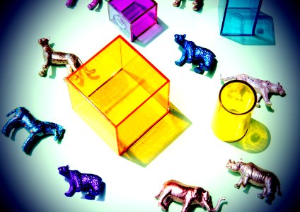 Amusement Animals Background