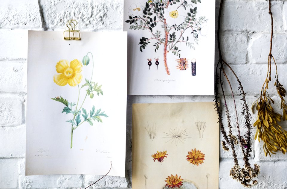 Antique Artwork Cc0