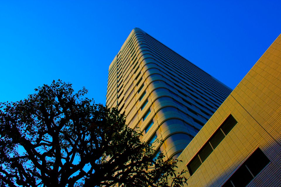High Rise Building B