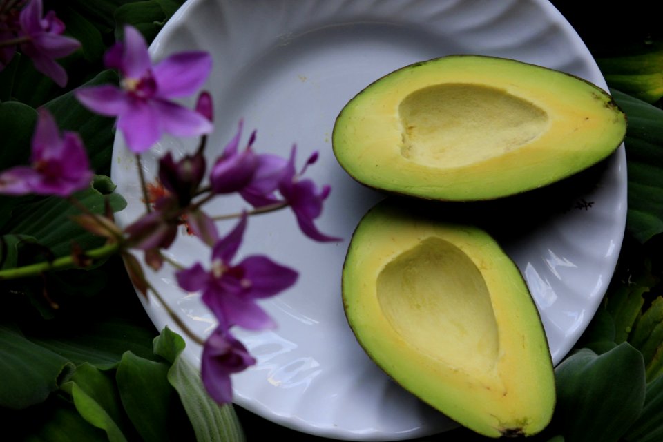 Sliced Avocado On White Ceramic Plate