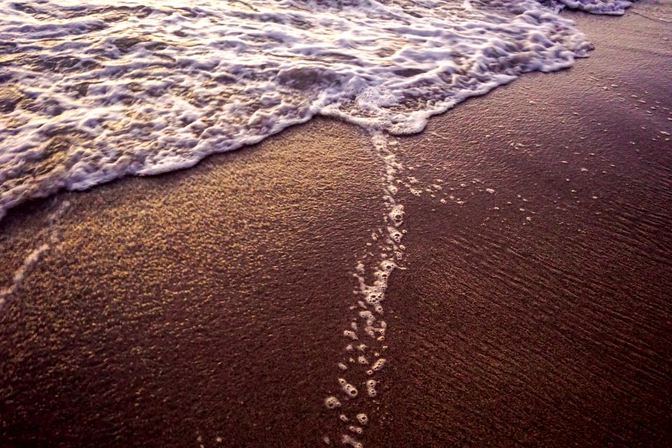 Close-up Photo Of Seashore