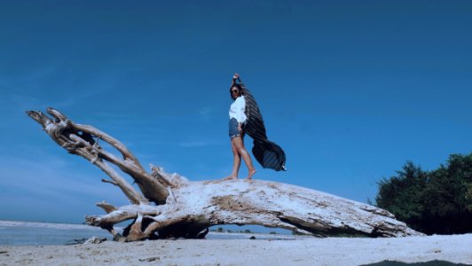 Woman At Top Of Tree Trunk Near Beach