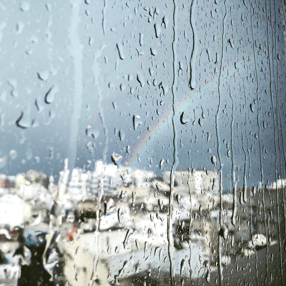 Close Up Photo Of Drop