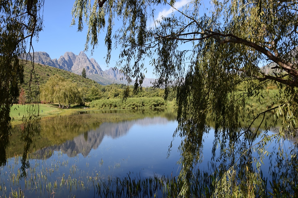 Nature mirroring rest