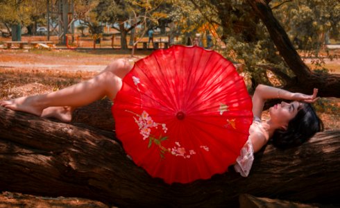 Woman Laying On Tree Log Holding Red Umbrella photo