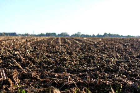 Eye-level Photo Of Cultivated Land