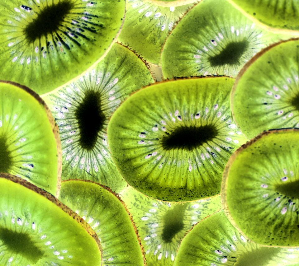 Background Cc0 Closeup