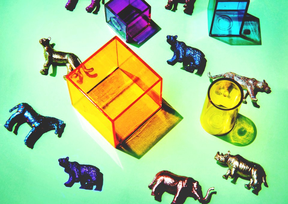 Amusement Animals Background