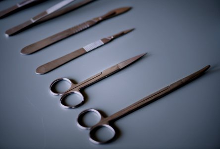 Care Cc0 Closeup