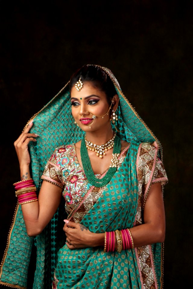 Woman In Sari Dress