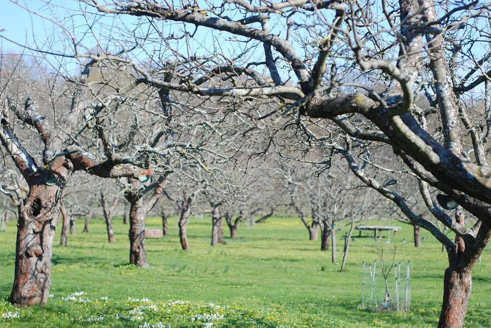 Garden horticulture farm