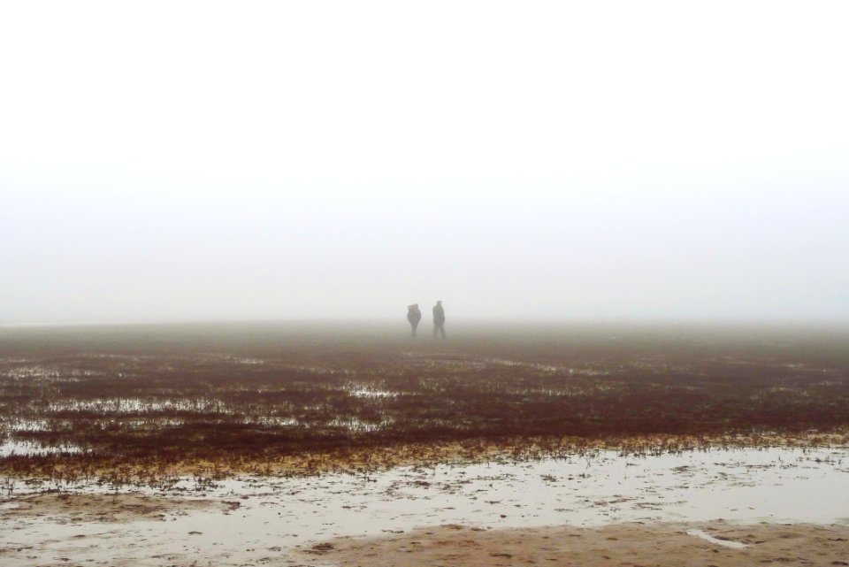 Two People Walking On Fog Covered Field