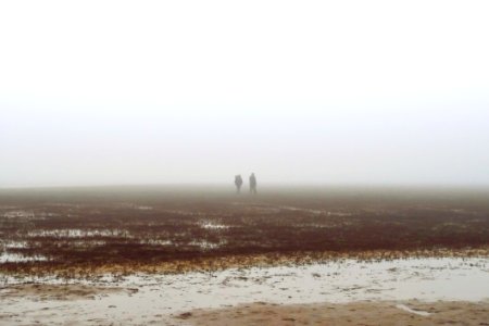 Two People Walking On Fog Covered Field photo