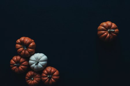 Photo Of Brown And White Pumpkins