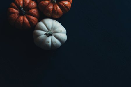 Three Orange And White Pumpkins photo