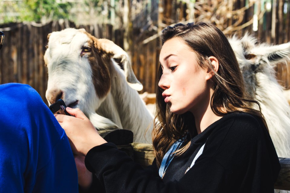 Woman Wearing Black Shirt White Goat At Daytime