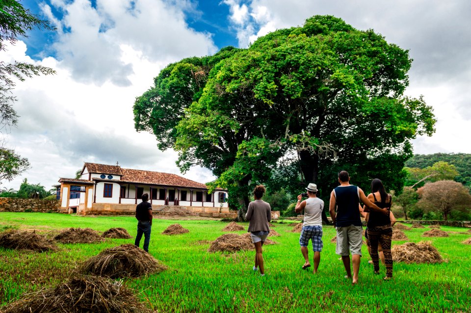 Group Of People Walking Along Green Grass Field
