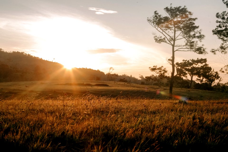 Agriculture Countryside Dawn