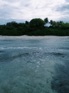 View Of A Beach