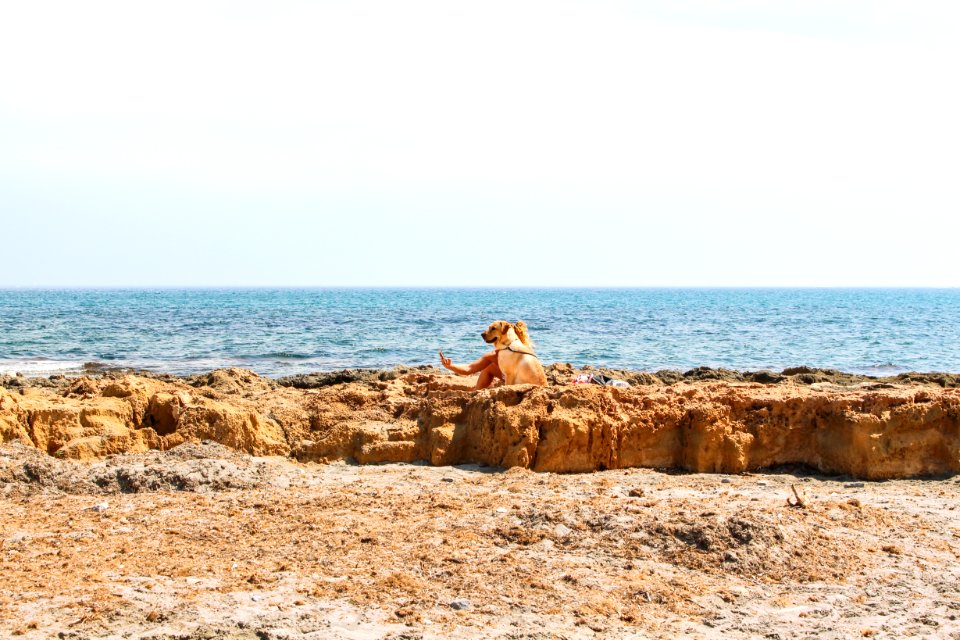 Photo Of Open Sea Near Brown Land