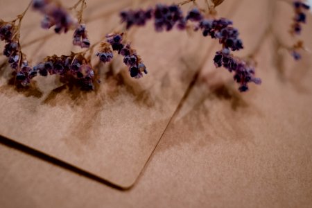 Shallow Photography Of Purple Flowers