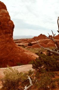 Brown Rock Formation Near Trees photo