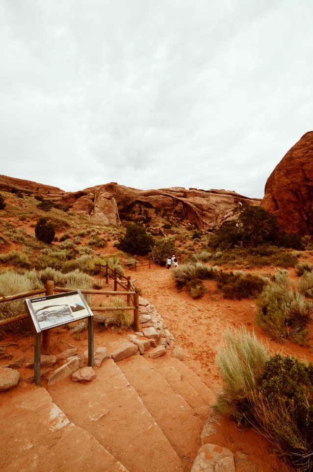 Brown Concrete Path Under White Sky photo