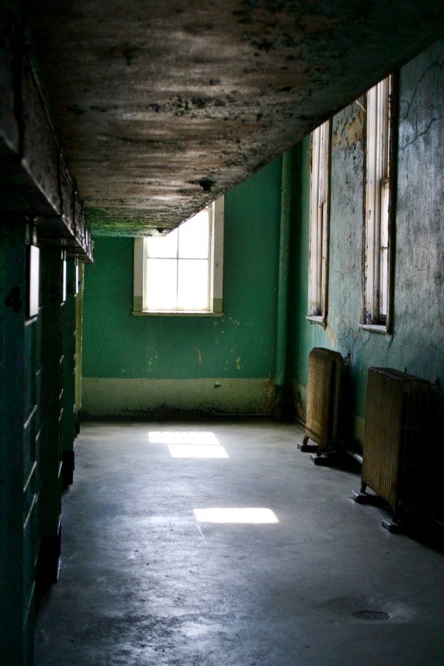 Green Painted Wall With Panel Heaters