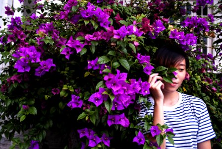 Close-Up Photography Of Woman Near Purple Bougainvillea photo