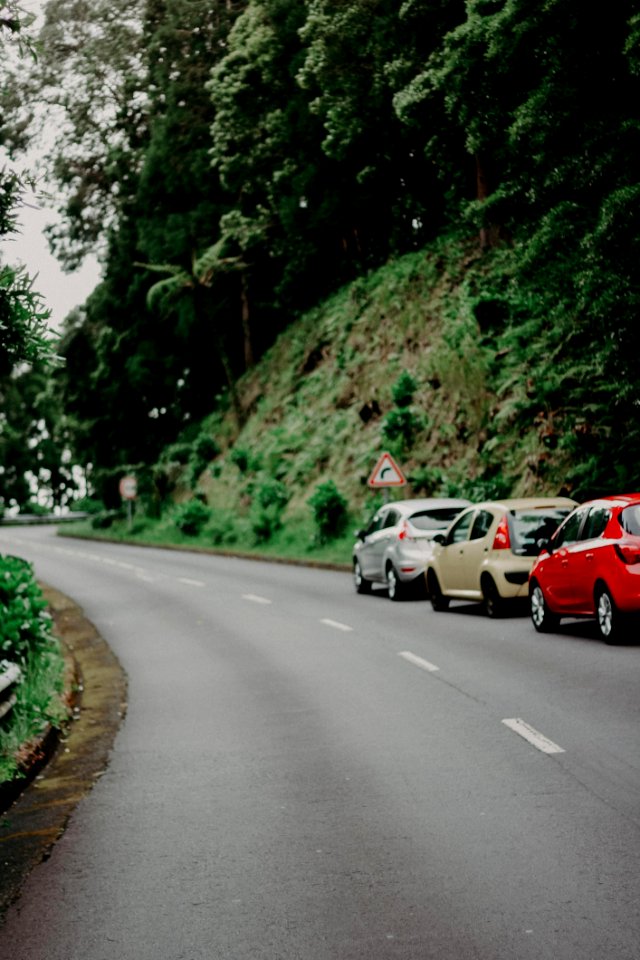 Three Assorted-color Vehicles Near Green Trees