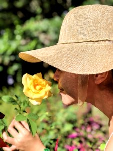 Woman Wearing Sun Hat Smelling Yellow Rose photo