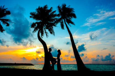 Silhouette Photo Of Male And Female Under Palm Trees photo
