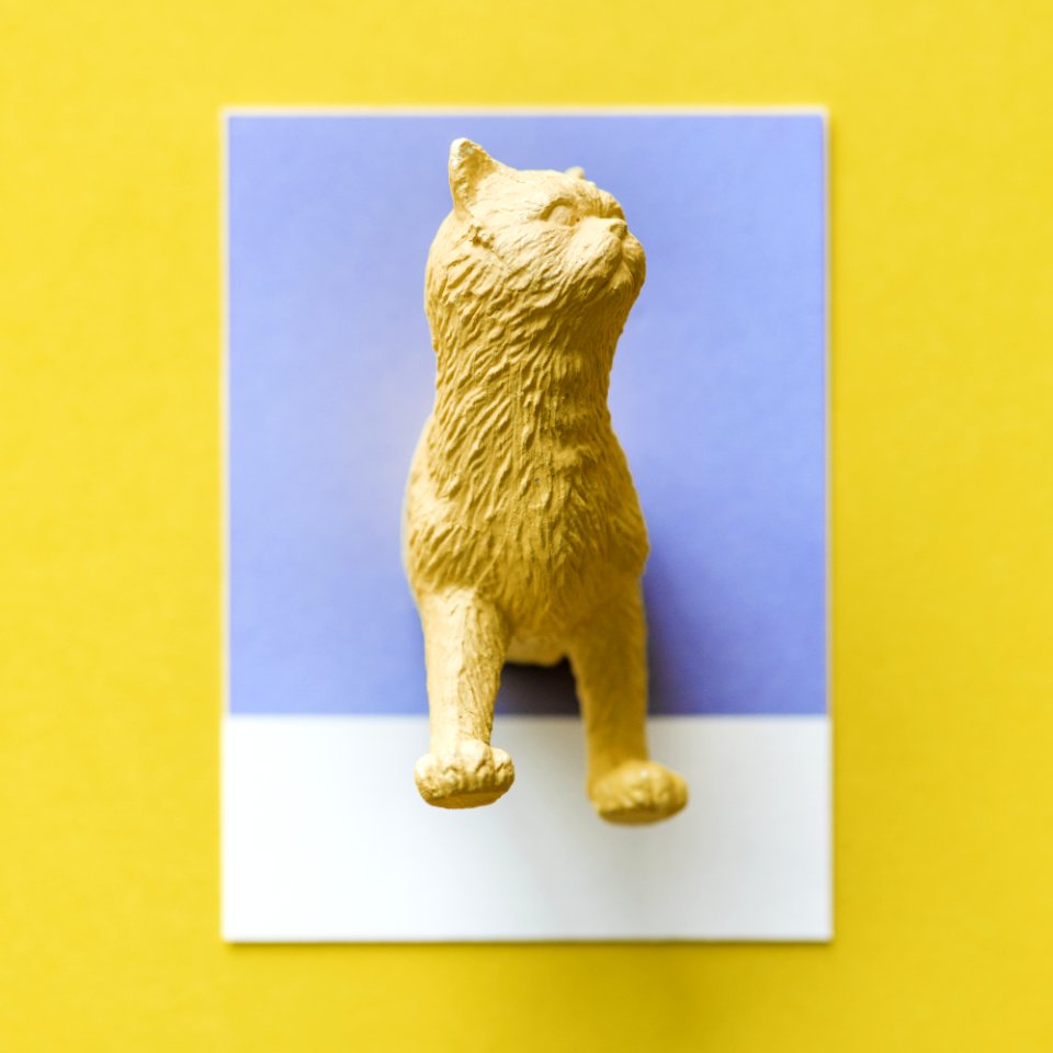Abstract Animal Art