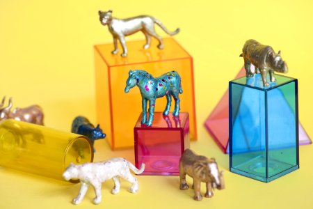 Amusement Animals Background