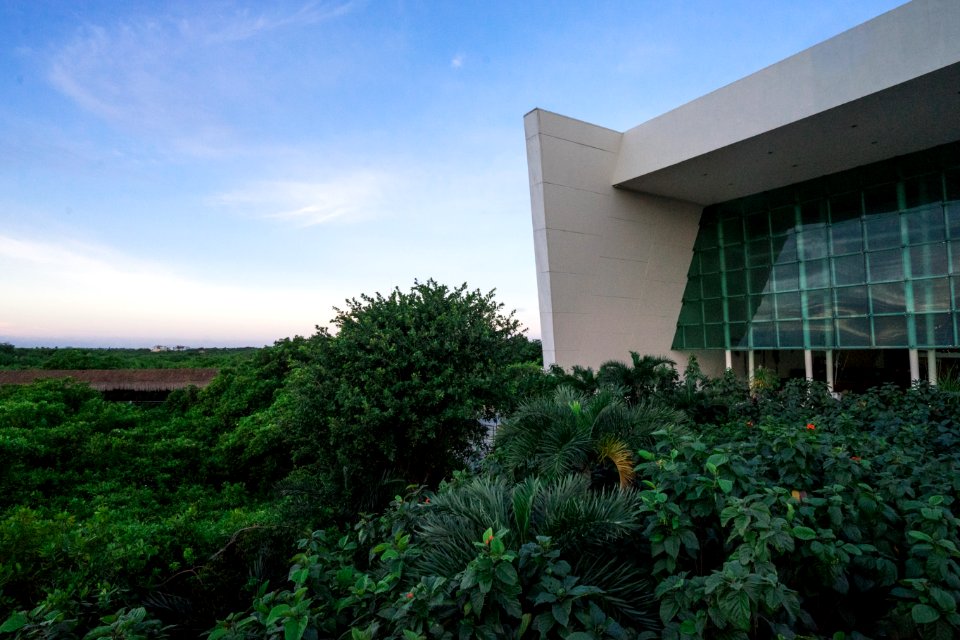 Forest Beside White Building Under Clear Sky photo