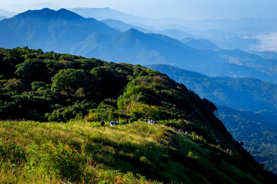 Green Leaf Plants On Mountains Landscape Photography