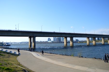 Pathway Under Concrete Bridge photo