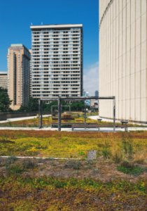 Two White Concrete Buildings photo