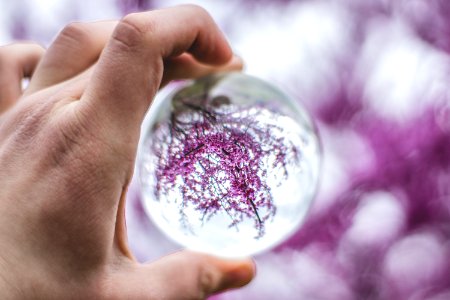 Person Holding Glass Ball