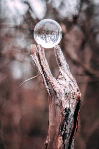 Round Clear Glass Ball On Gray Tree Branch